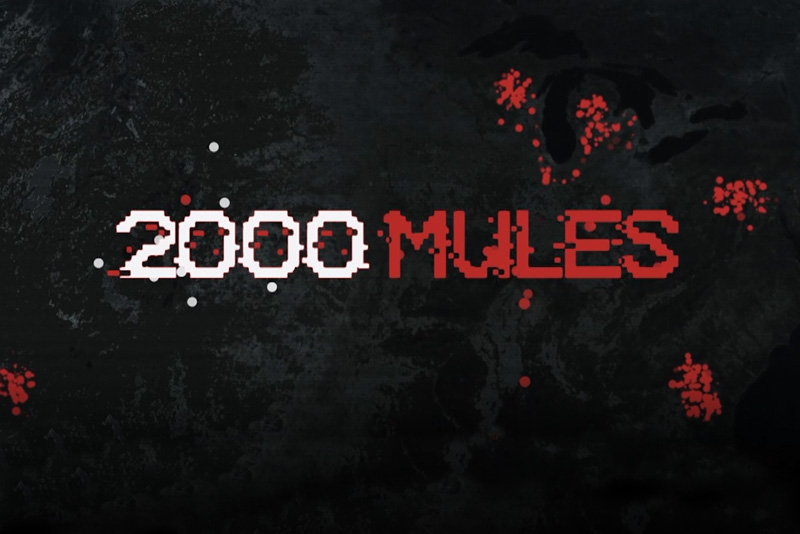 2000 Mules: A Dinesh D’Souza 2022 Film