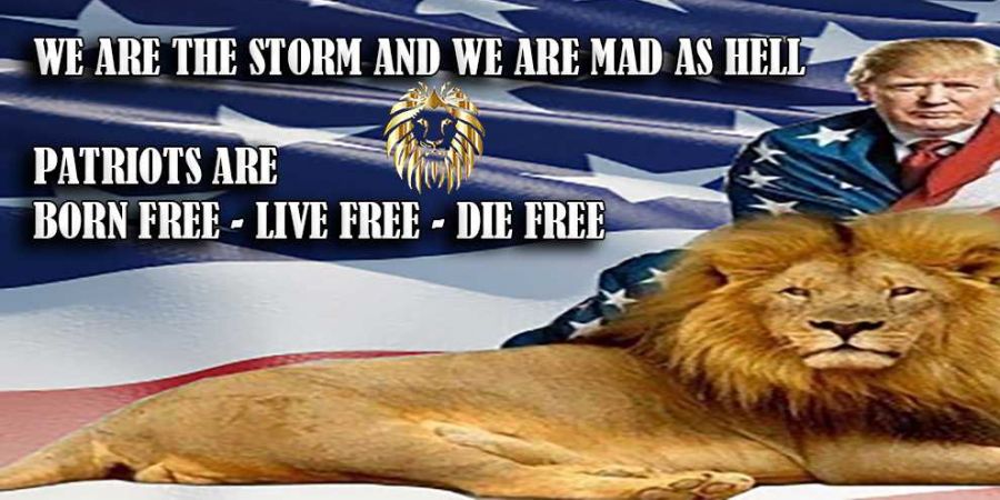 JJPPATRIOT Ultra MAGA PATRIOT Cover Image