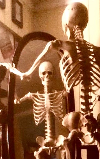 The Skeleton Crew Profile Picture