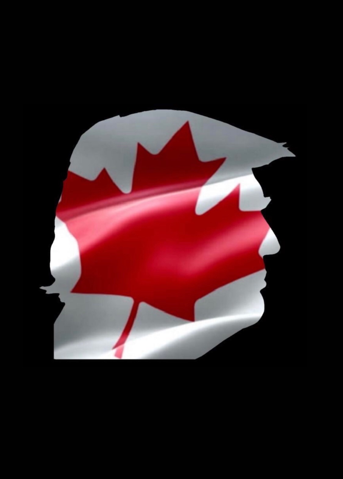 Canadian Trump Supporter fortyfive Profile Picture