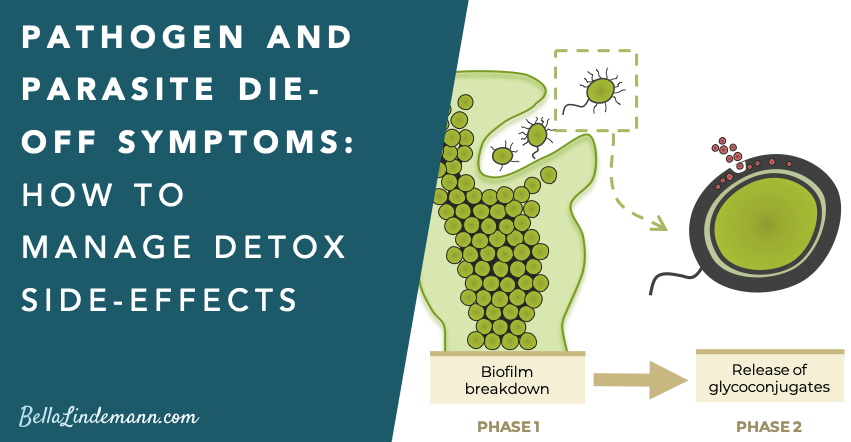 Pathogen & Parasite Die-Off Symptoms: How to manage detox side-effects